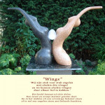 Wings